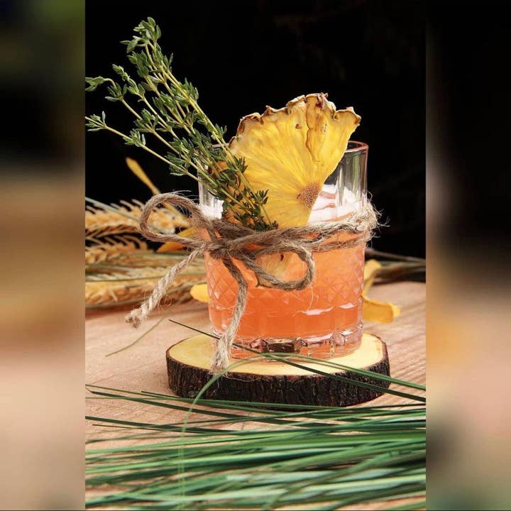 Cocktail Garnish Co. - Vente Fruits secs/déshydratés - Tranche d'ananas déshydratée (avec écorce), 14 tranches2