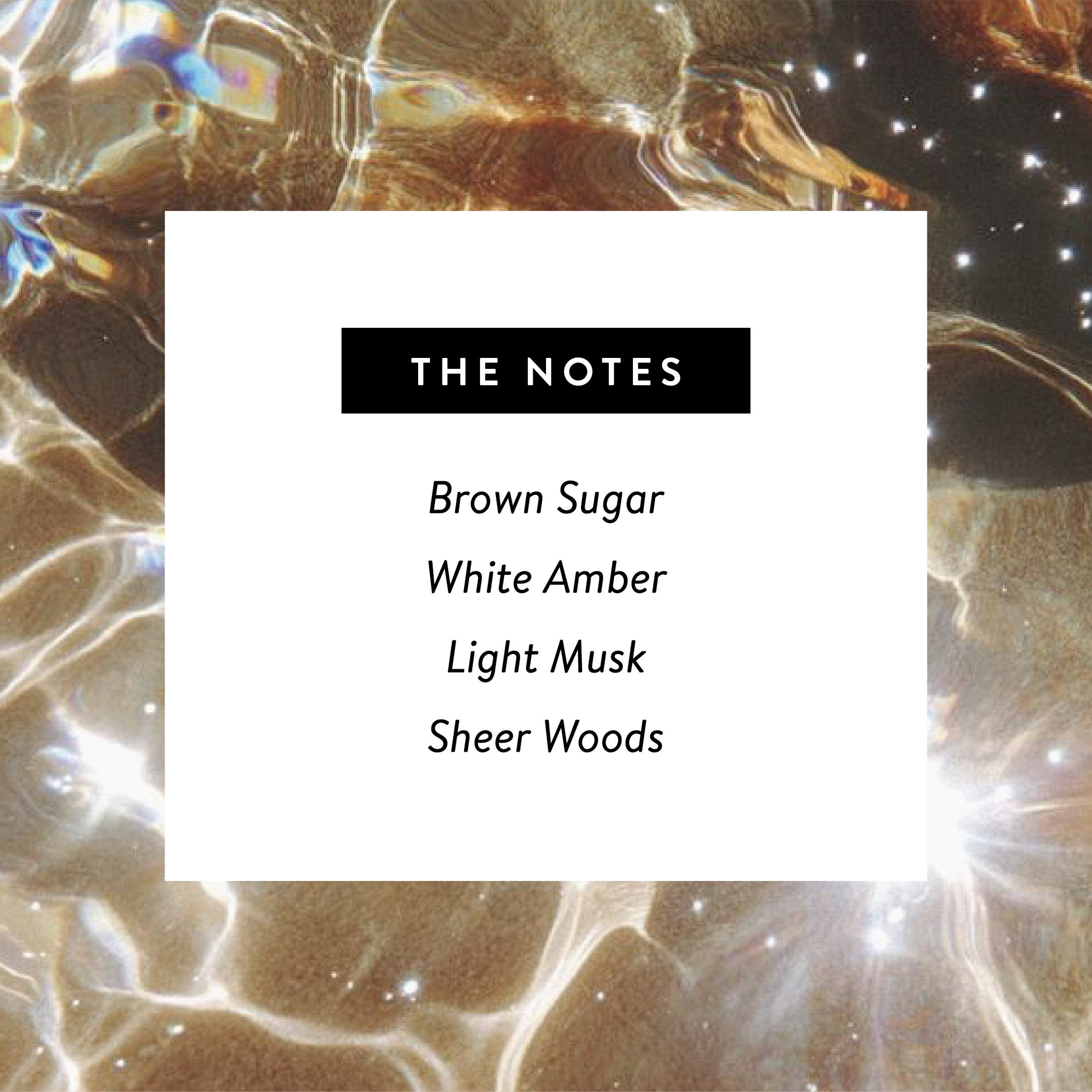 West Clay Company - Wholesale Perfume/Eau de Toilette - 333 🪽 Perfume - Amber, Nontoxic Eau De Parfum 1.7oz1