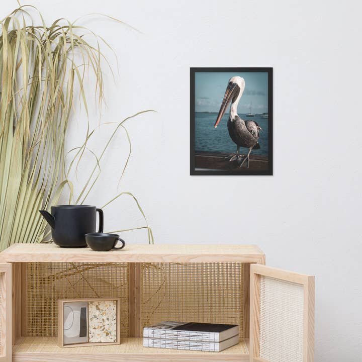 Pipa Wall Art & Home Decor - Wholesale Art print - Bob The Pelican 2 Colorized Wildlife Photo Framed Wall Art1