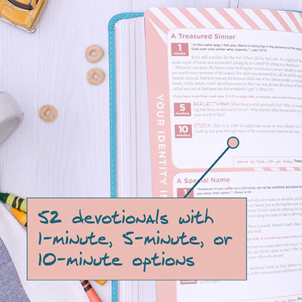 HarperCollins Christian Publishing - Wholesale Religion - NIV The Busy Mom's Bible, Leathersoft, Teal, Red Letter3