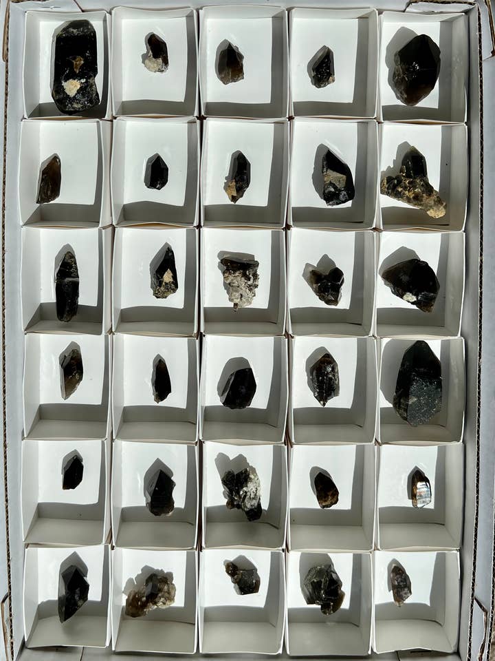 Morion (Svart rökig) Quartz Crystal Flat C för wholesale av Vugg life