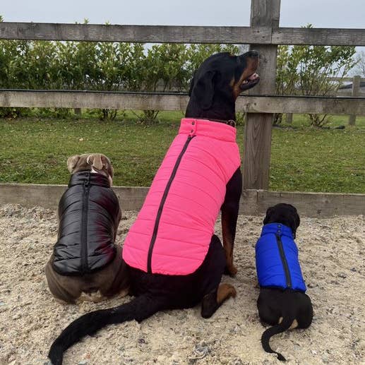 Full Collection of Dog Puffer Coats for wholesale by Henry Wag