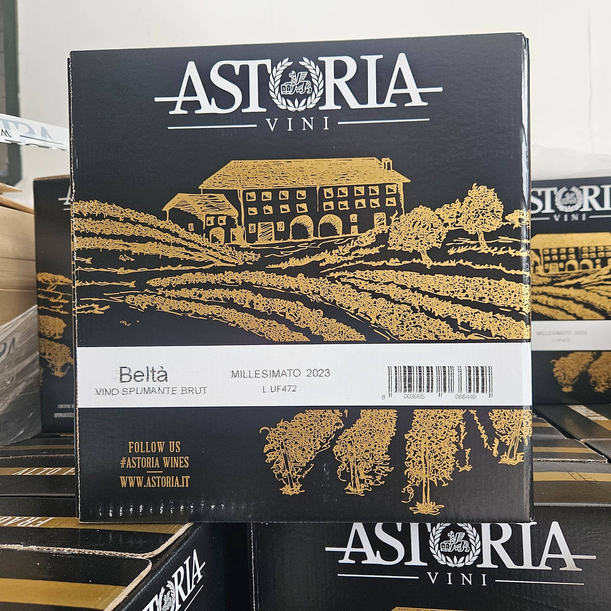 Metina SAS - Vente Champagnes/vins pétillants - Vin mousseux Brut Millesimato « Beltà » Astoria 0,75 litre2