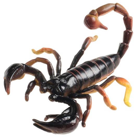 Science and Nature – wholesale Figurine toy – Kids – Scorpion (Pack of 10)