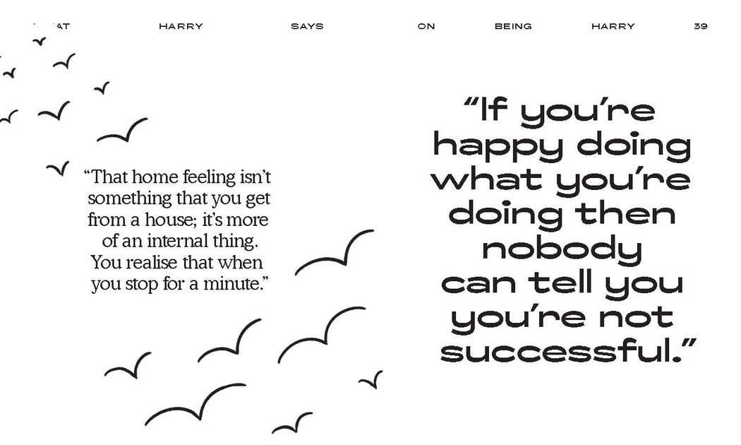 Chronicle Books - Wholesale Arts & Entertainment - What Harry Says4