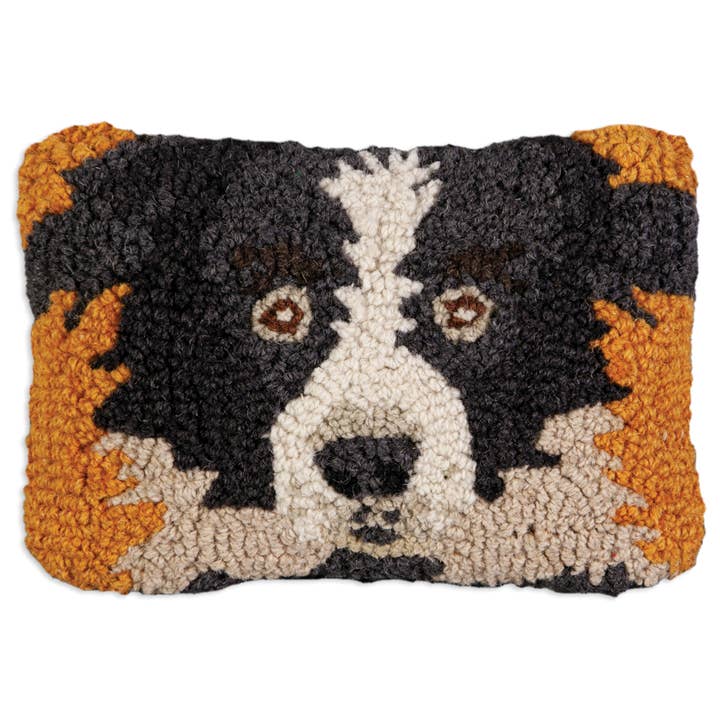 Border Collie for wholesale by Chandler 4 Corners