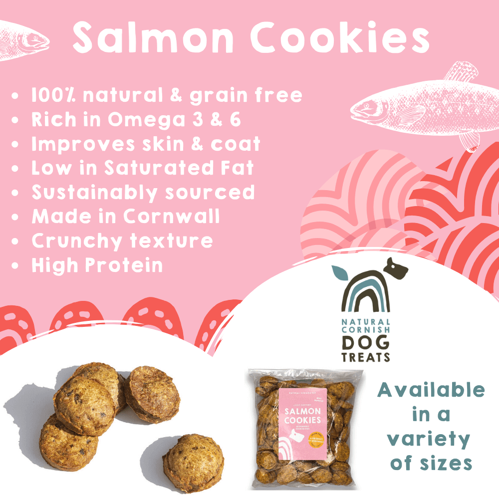 The Pets Larder - Vente Friandises – chien - Biscuits au saumon de Cornouailles pour chiens4