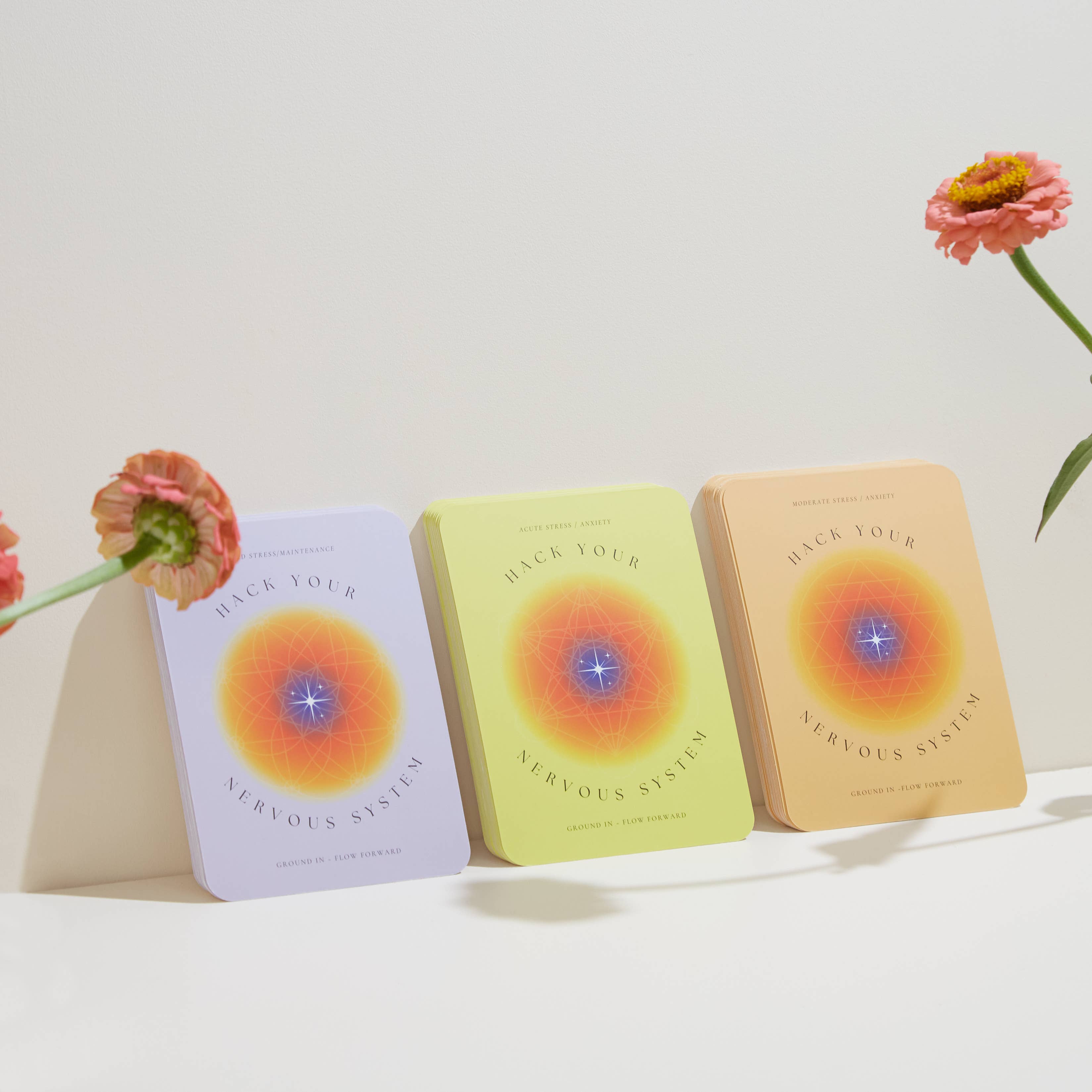 Hack Your Nervous System – Großhandel Tarot-Karten – Hack Your Nervous System Kartenset2