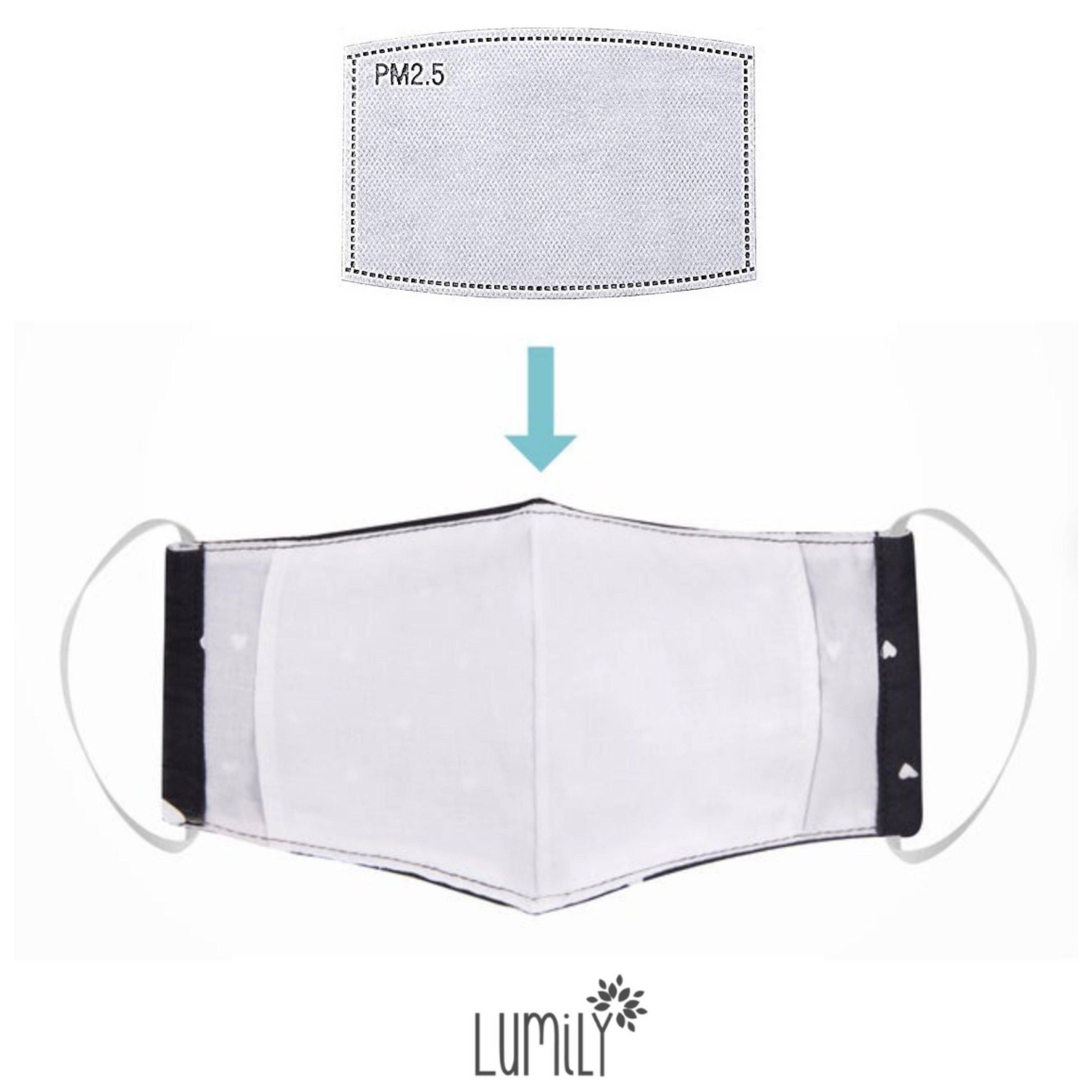 Lumily - Wholesale Medisch gezichtsmasker - Hacienda gestreept gezichtsmasker met filterzak - Guatemala10
