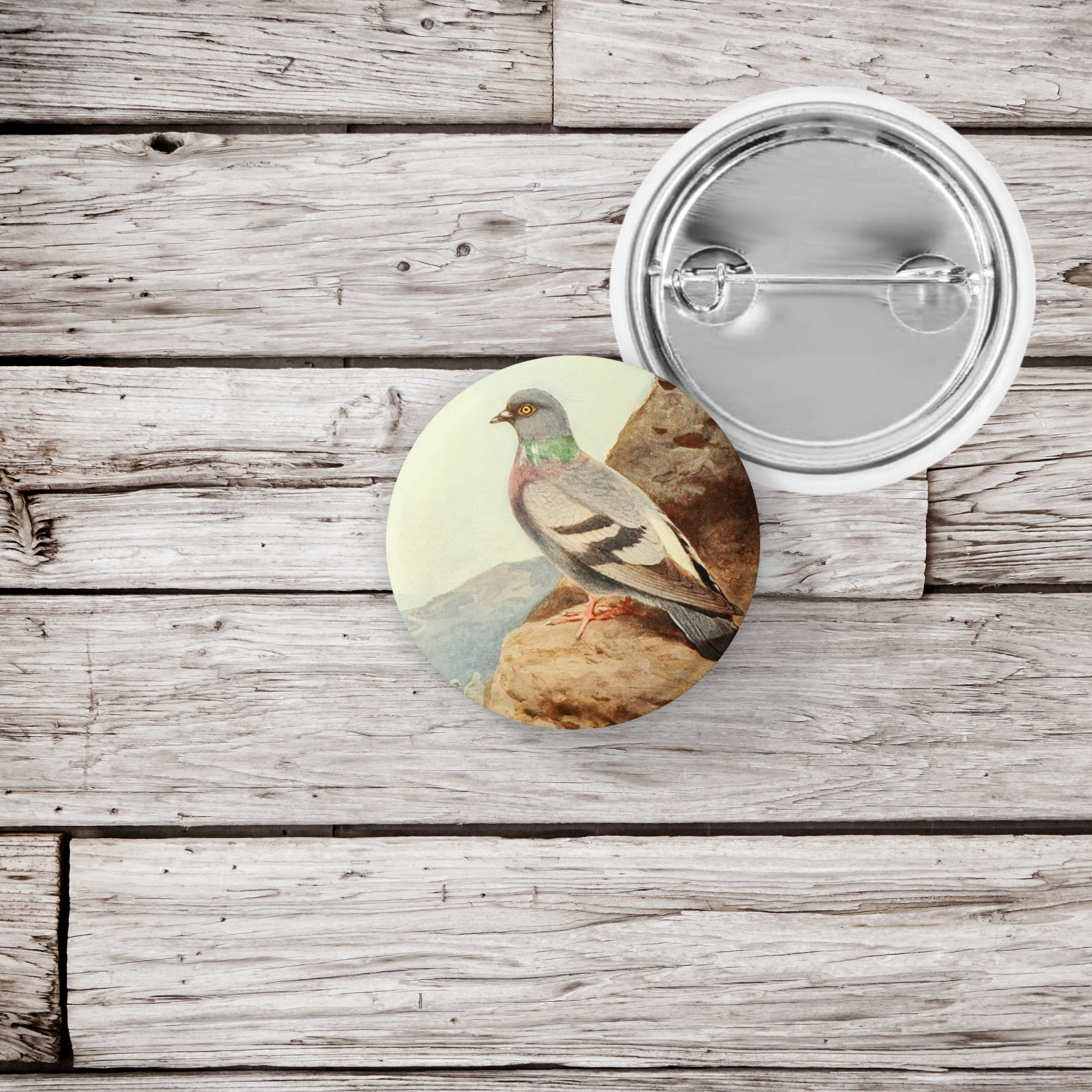 NatureCuts - Venta al por mayor Botón/prendedor - Pin de paloma, Llavero de paloma, Imán de paloma3