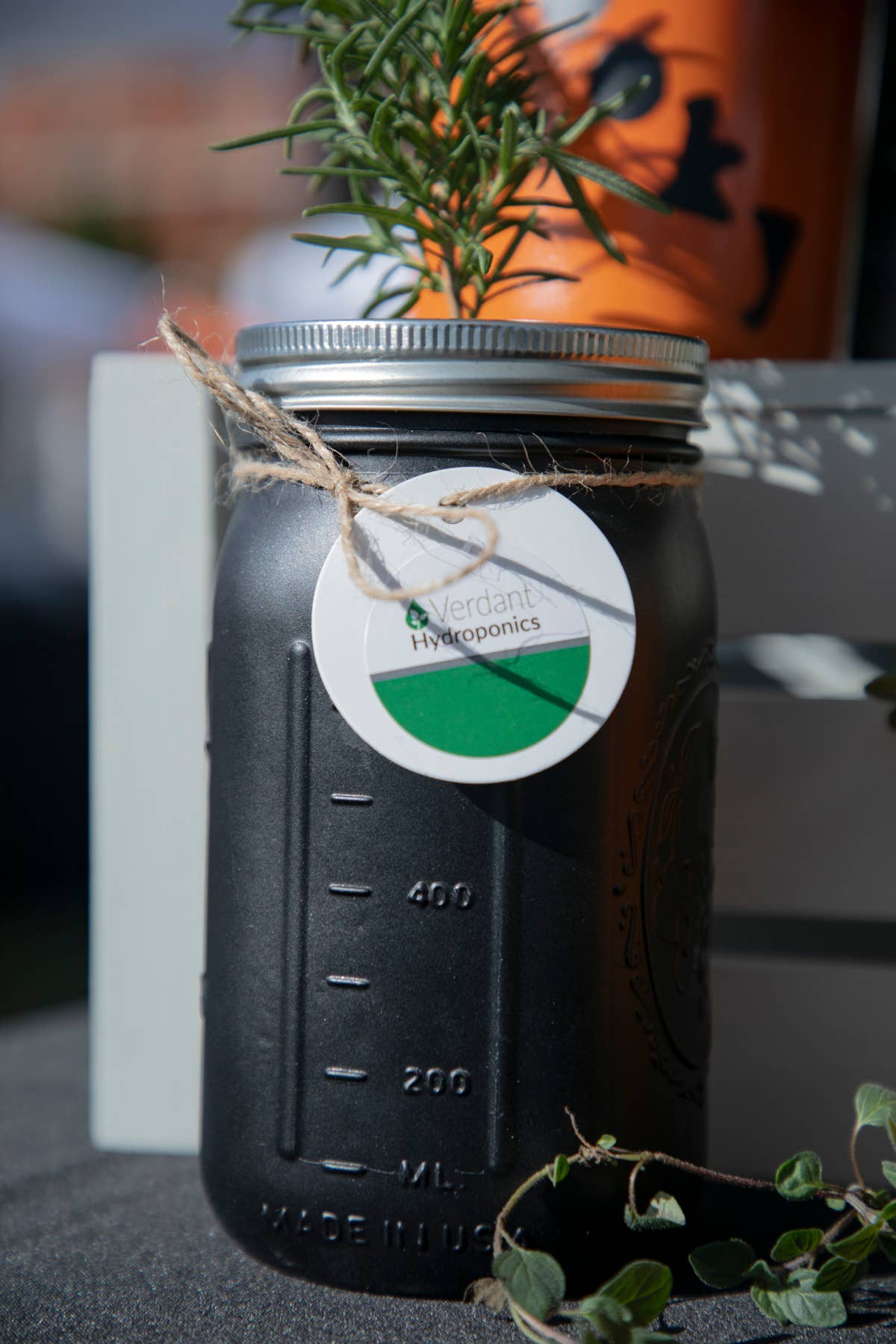 Verdant Hydroponics - Vente Graines de plantes - Kit de culture hydroponique d'herbes0