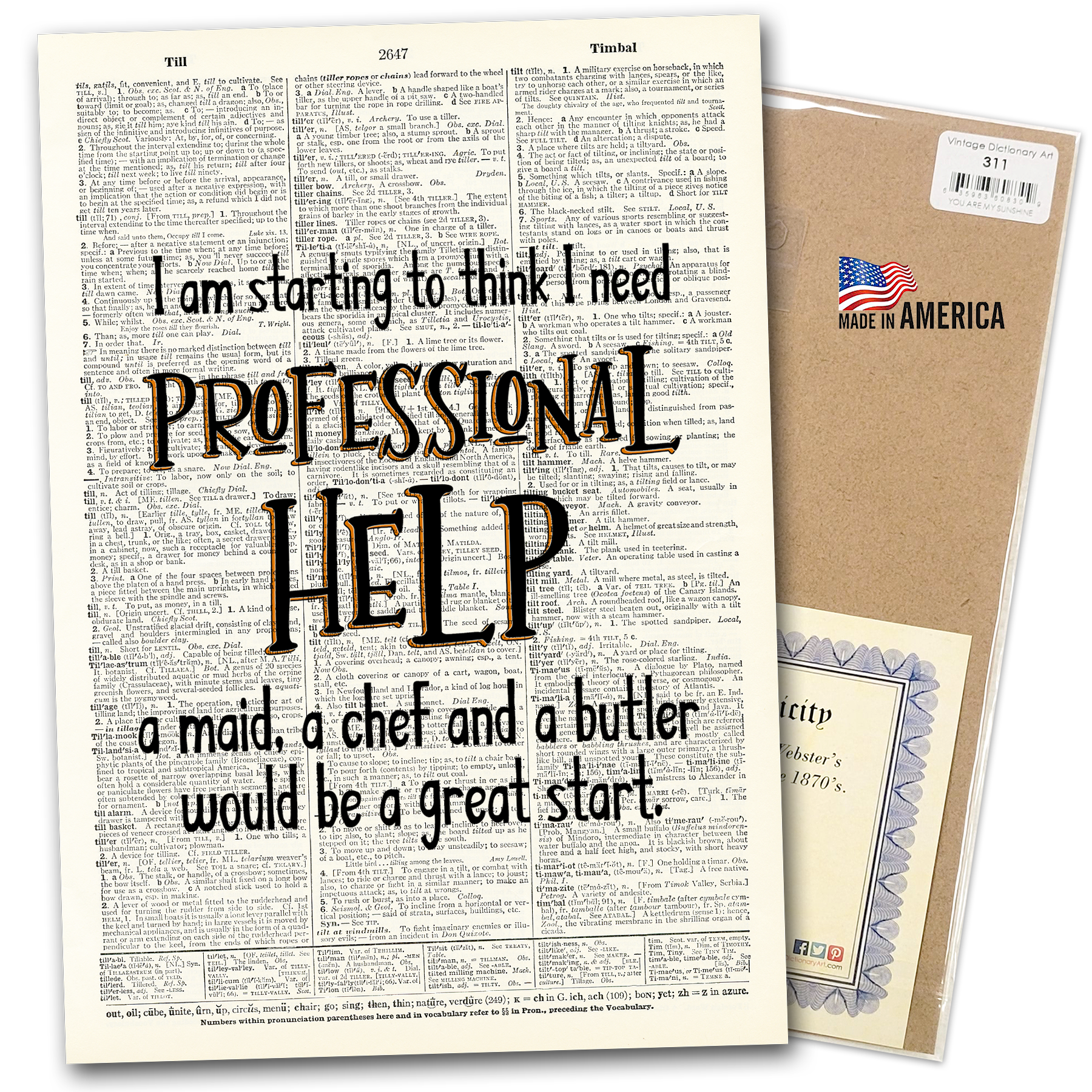 Vintage Dictionary Art - Vendita all'ingrosso Stampa artistica - Stampa artistica | Pagina del dizionario | Vintage | Aiuto professionale1