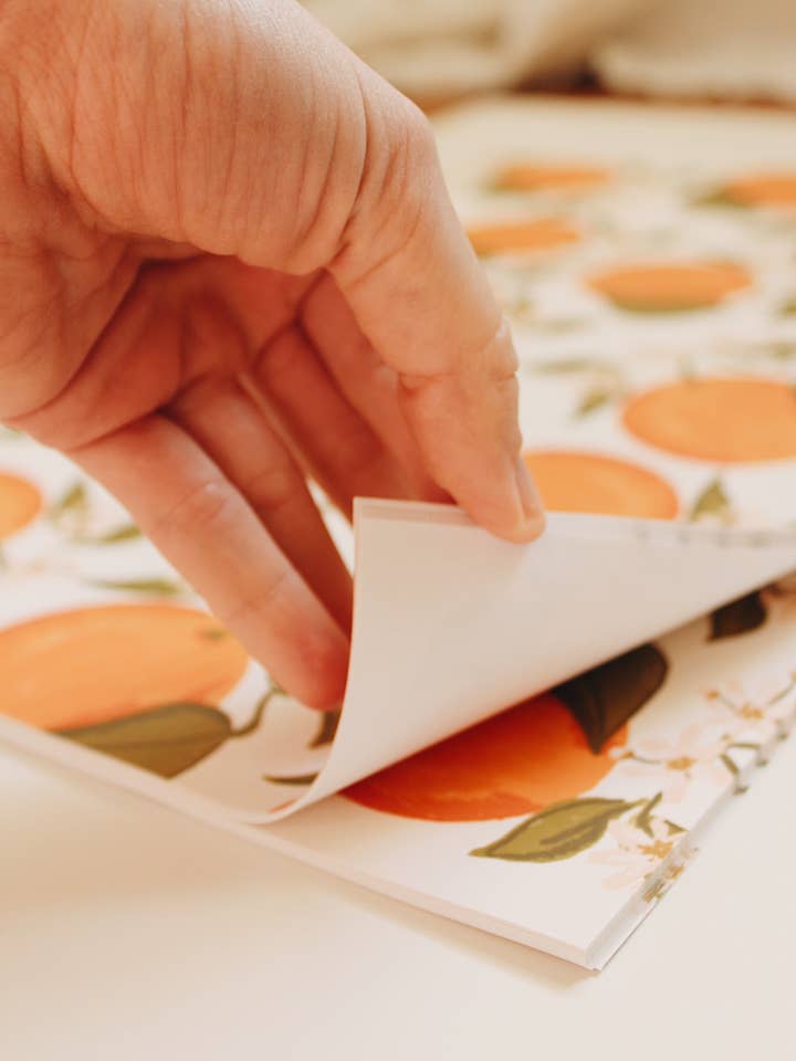 Feuilles de papier d'emballage aux agrumes pour la vente par Kate Mac Co.