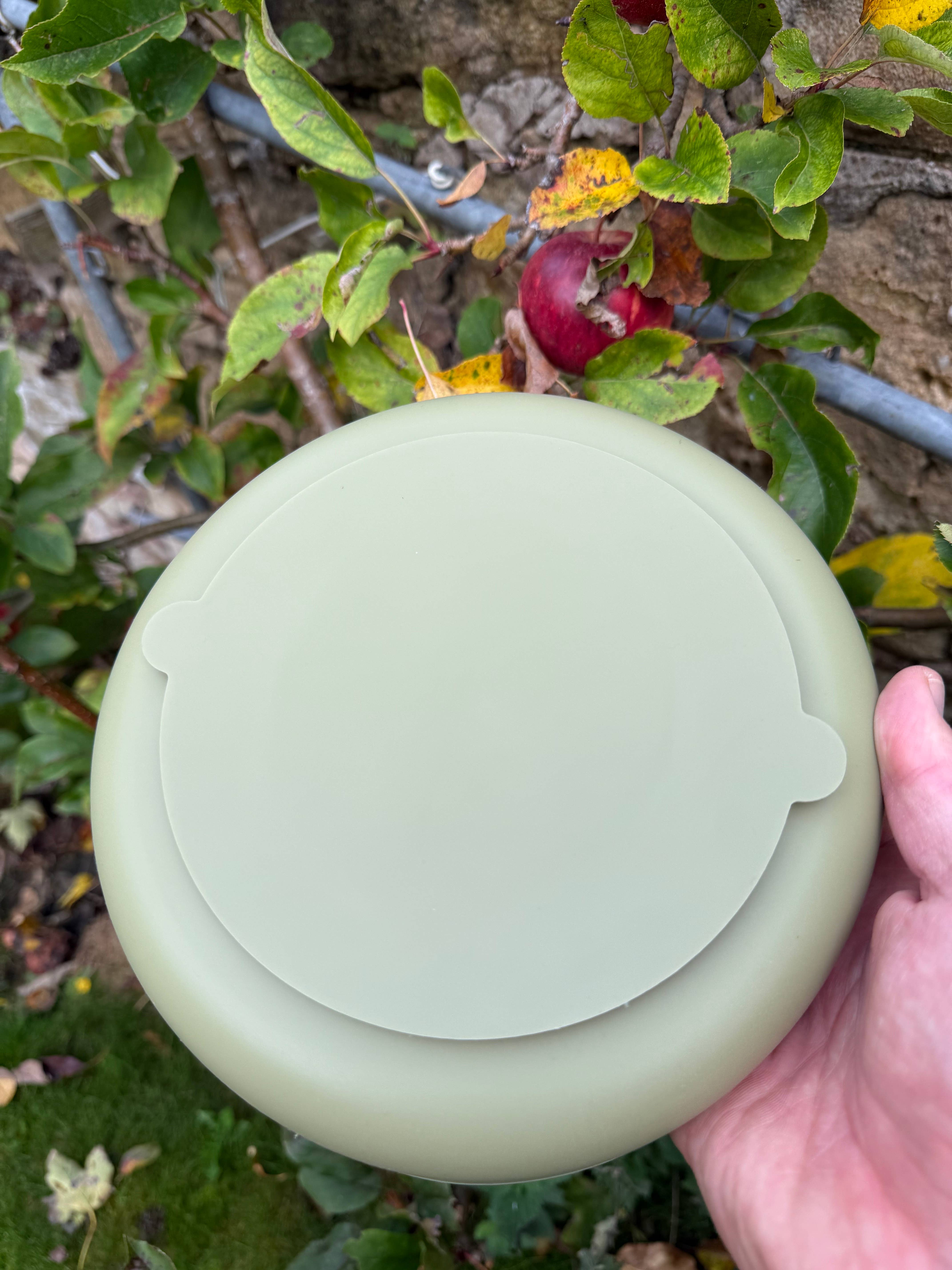 Bodhi & The Birchtree - Vente Gamelles – chien - Bol d'enrichissement de montagne Fern2