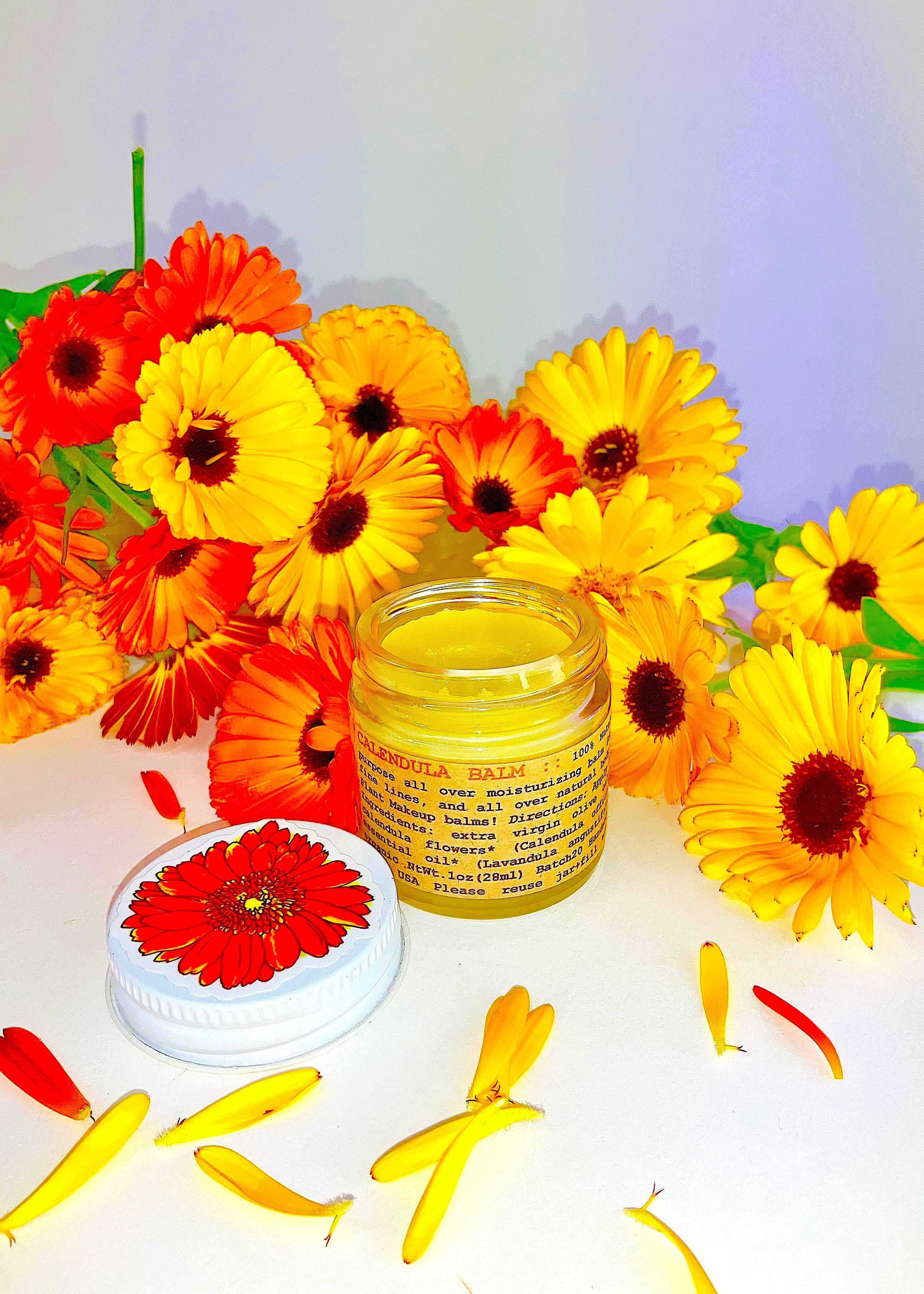 Plant Makeup - Vendita all'ingrosso Unguenti/Balsami/Creme curative - Balsamo di Calendula3