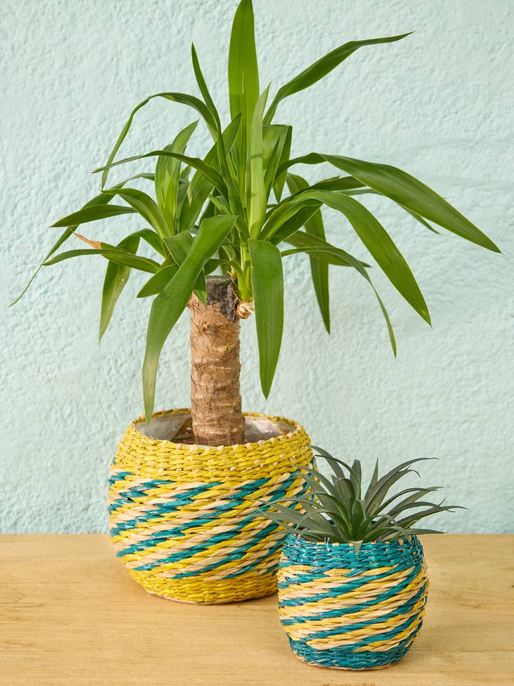 Ensemble de jardinières en herbe de mer à rayures jaunes pour la vente par Namaste