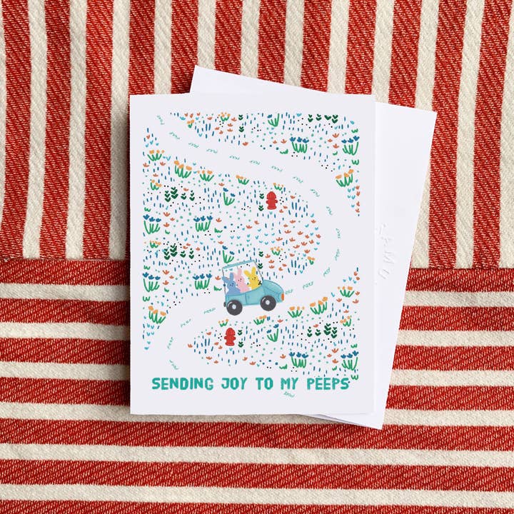 Ramus & Co. - Wholesale Stationery/Notecard Set - Pen Pals Set of 84