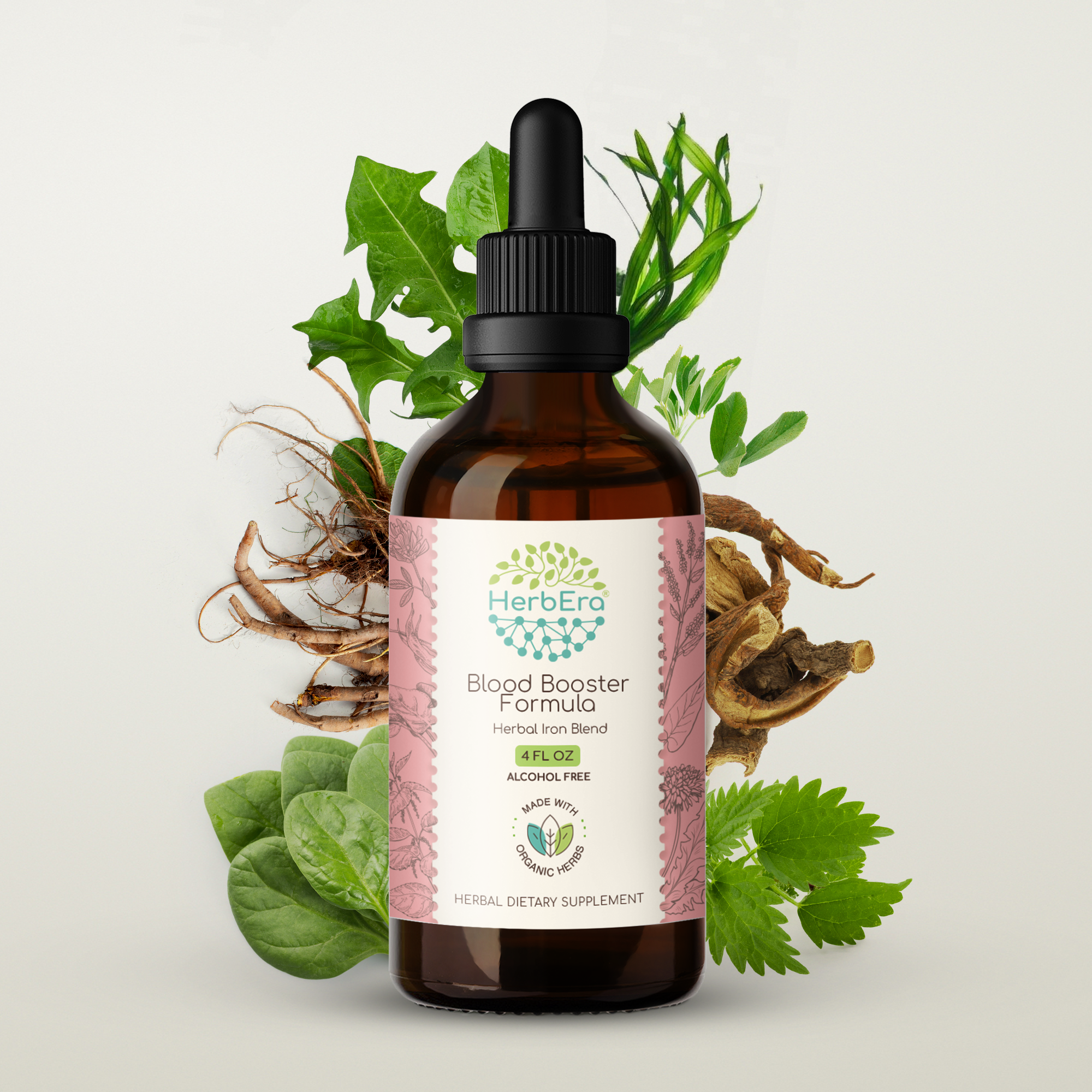 HerbEra - Venta al por mayor Tinturas - Tintura de Fórmula Potenciadora de Sangre11