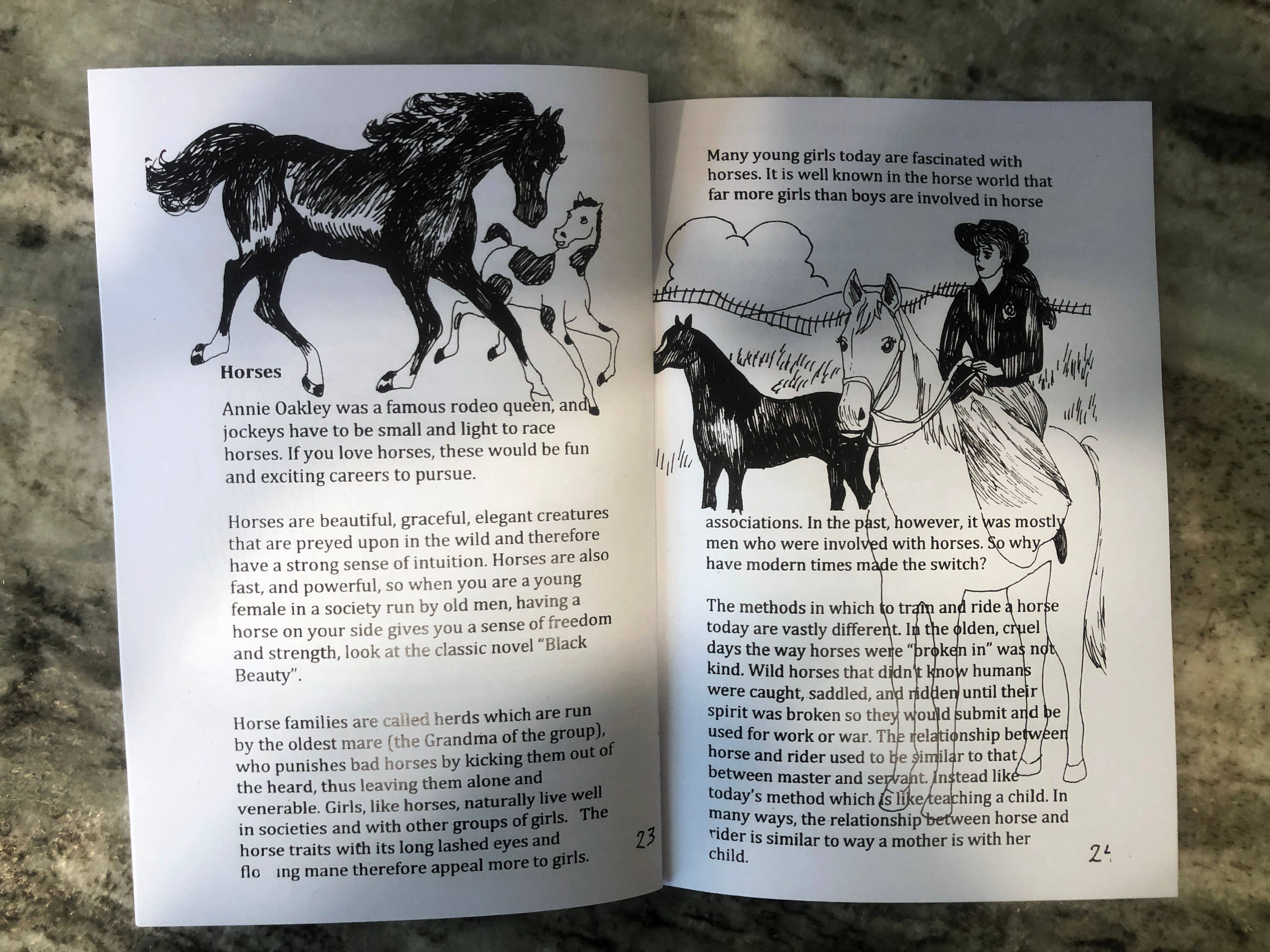 Dame Darcy - Wholesale Crafts, Hobbies & DIY Book - KITCHEN WITCH KIT1