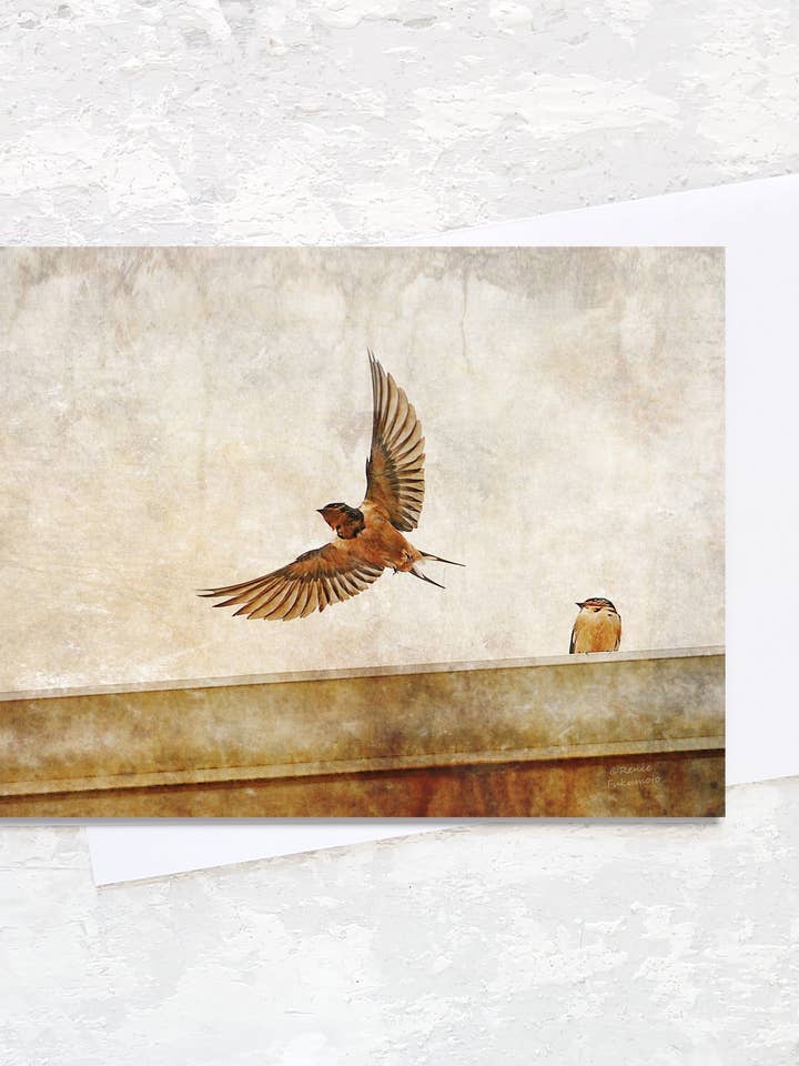 Barn Swallows 5x7 Greeting Art Blank Inside for wholesale by Renee Fukumoto