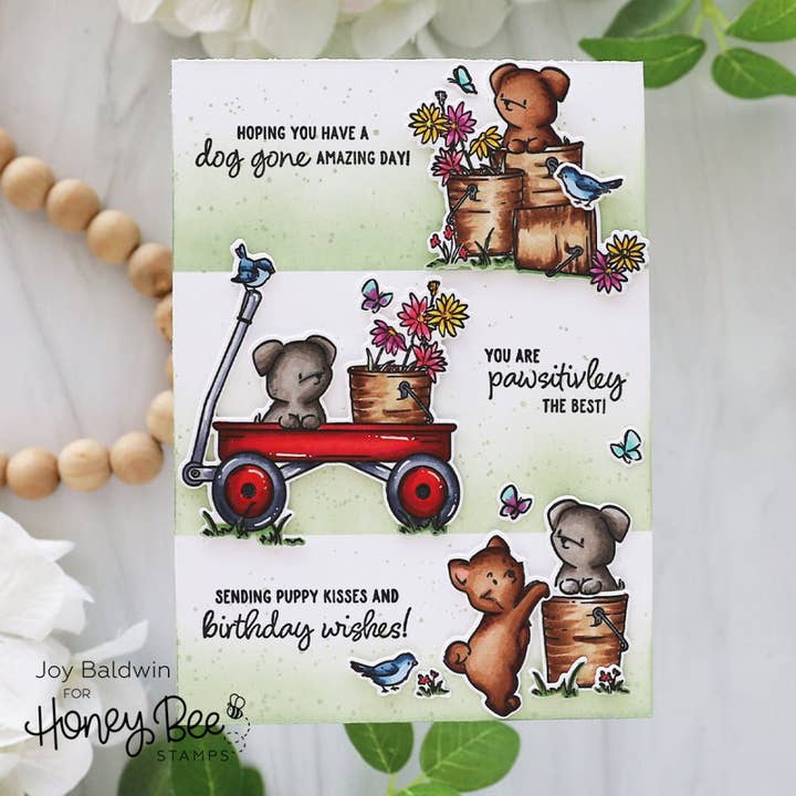 Honey Bee Stamps - Wholesale Rubber/Decorative Stamp - Dog Gone Amazing - 6x8 Photopolymer Stamp Set3