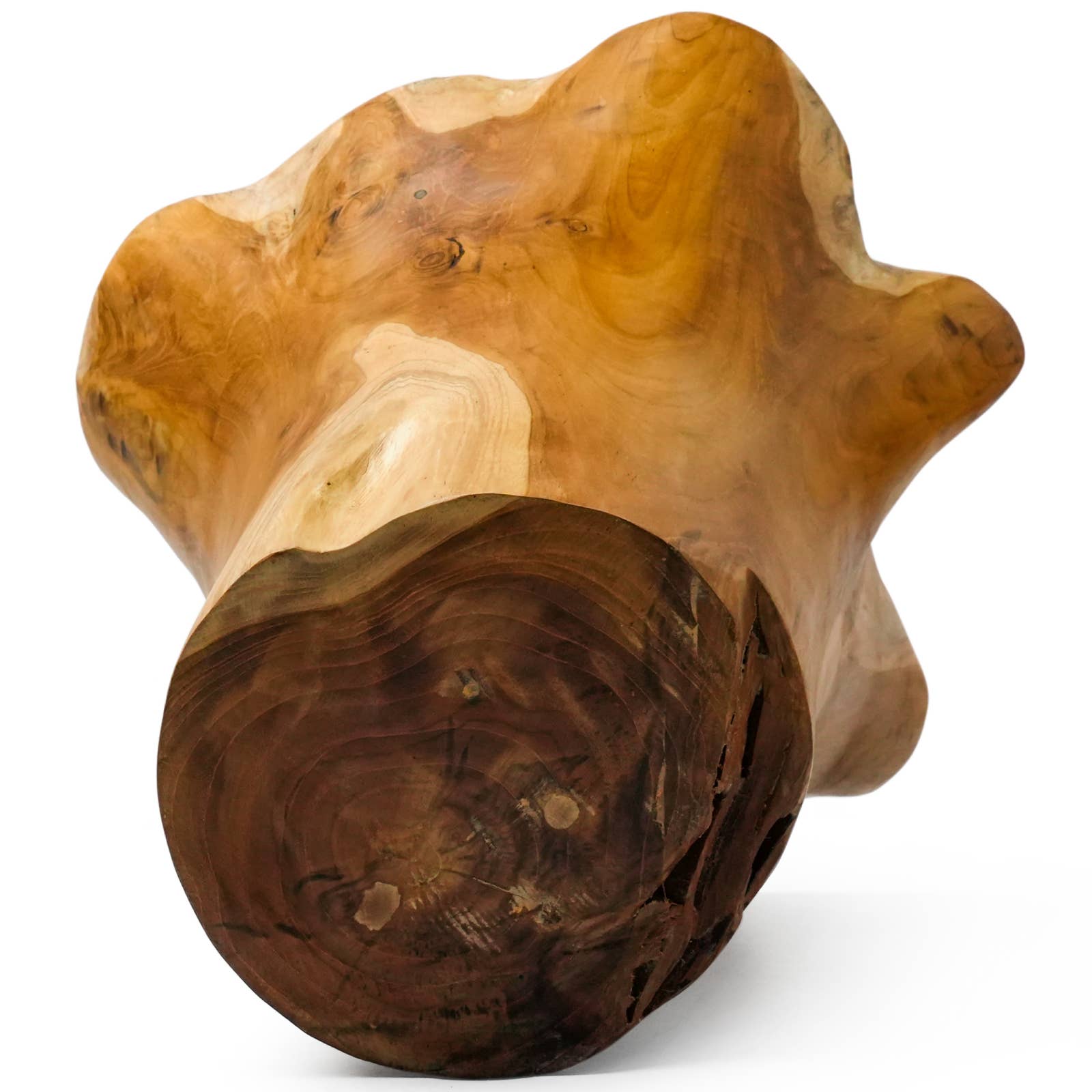 Rainforest Bowls – wholesale Vas – 12-tums blommande rotstock Teak Root Vase3