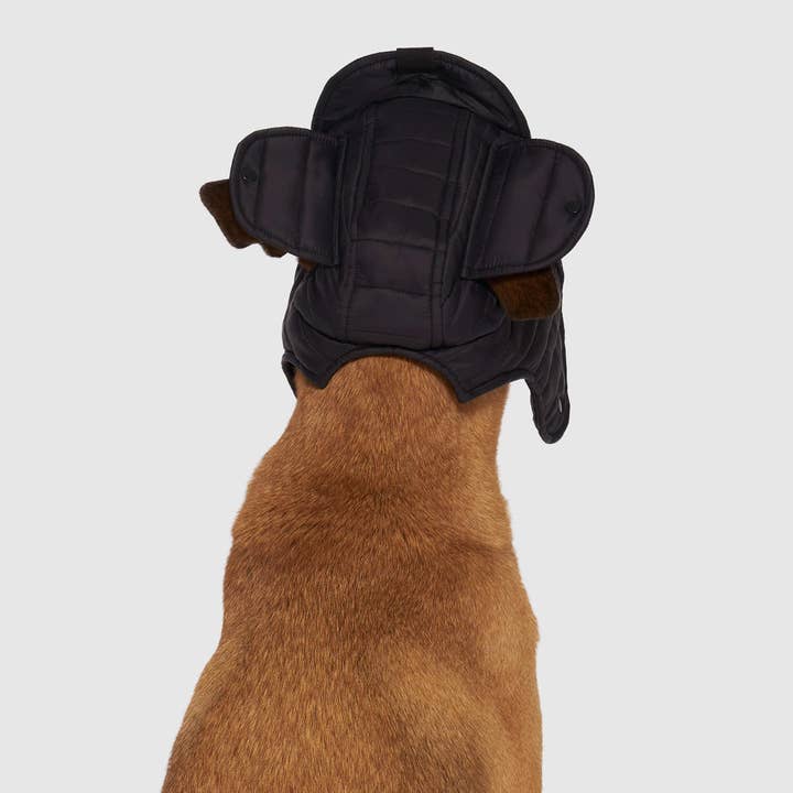 Canada Pooch - Wholesale Hoed voor honden - Hond - Puffer Pet Hoed - Warme Hoed voor Honden5