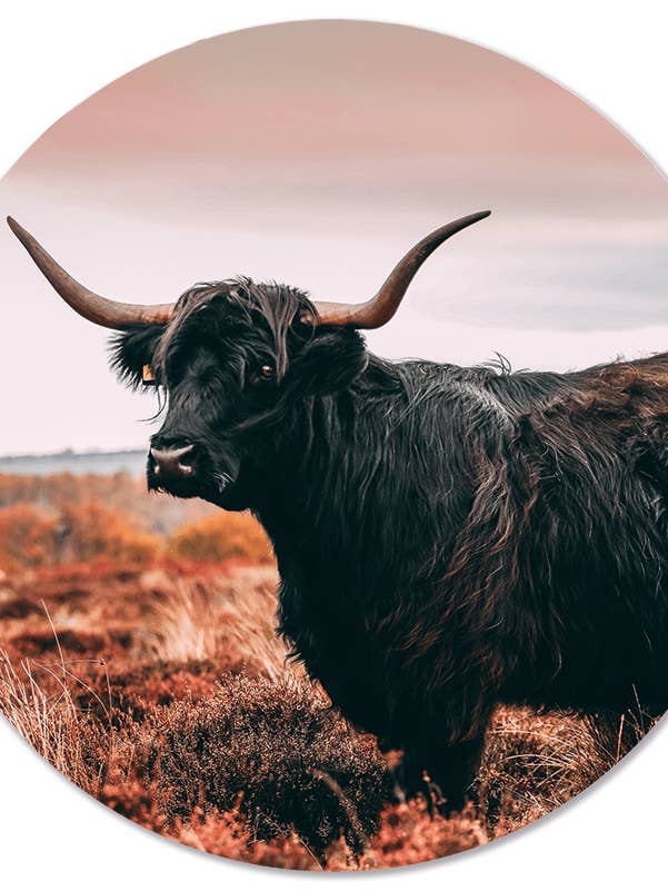 Muurcirkel highlander for wholesale by Label2X B.V.