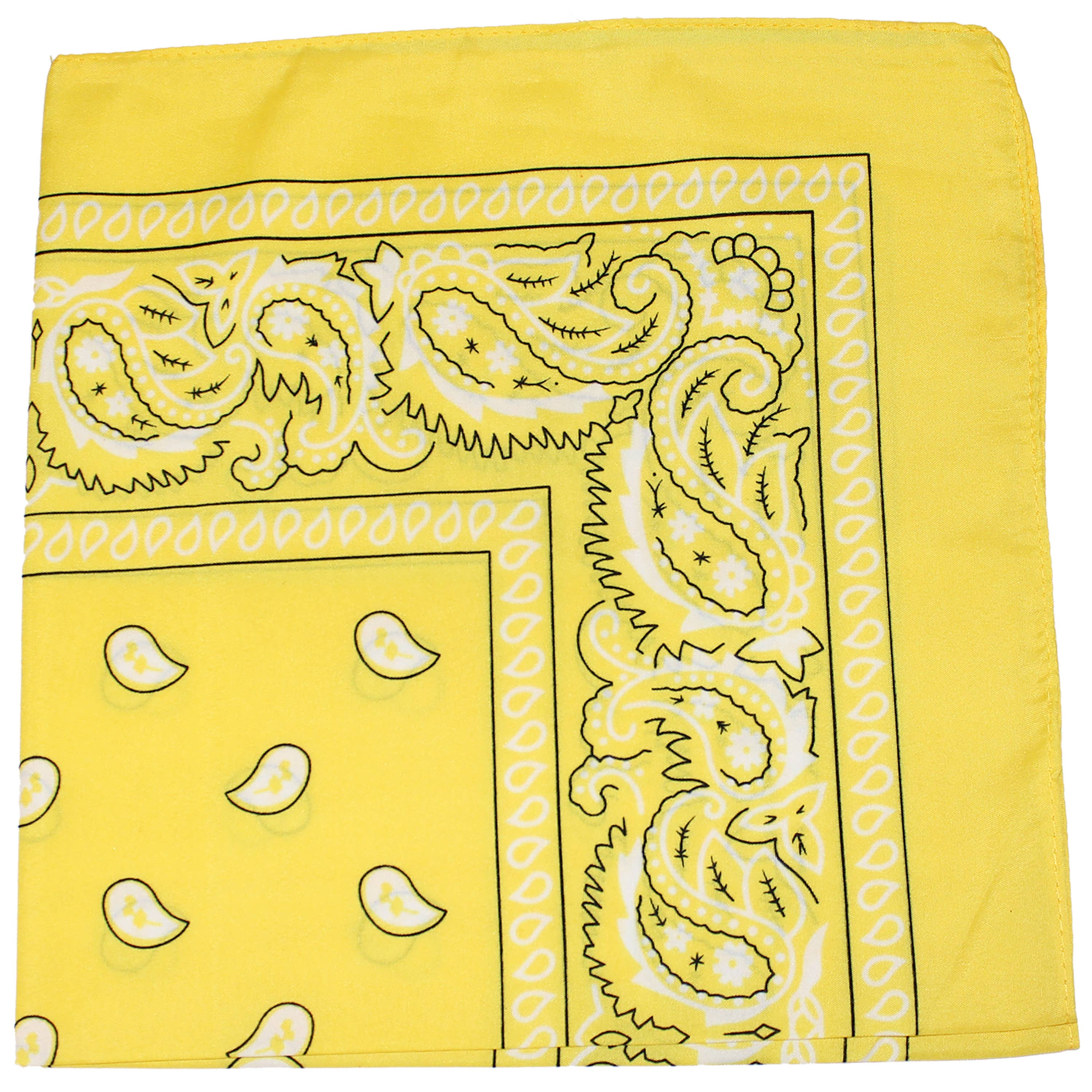 Bandanas Wholesale – wholesale Bandana – Unisex – Cotton XL Bandanas Paisley 27" x 27'  (Individually Packed)9