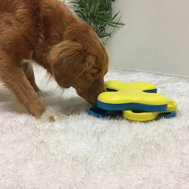 Pet Palette Distribution - Wholesale Pet Toy - Dog - Nina Ottosson Dog Tornado Interactive Dog Toy Blue/Yellow