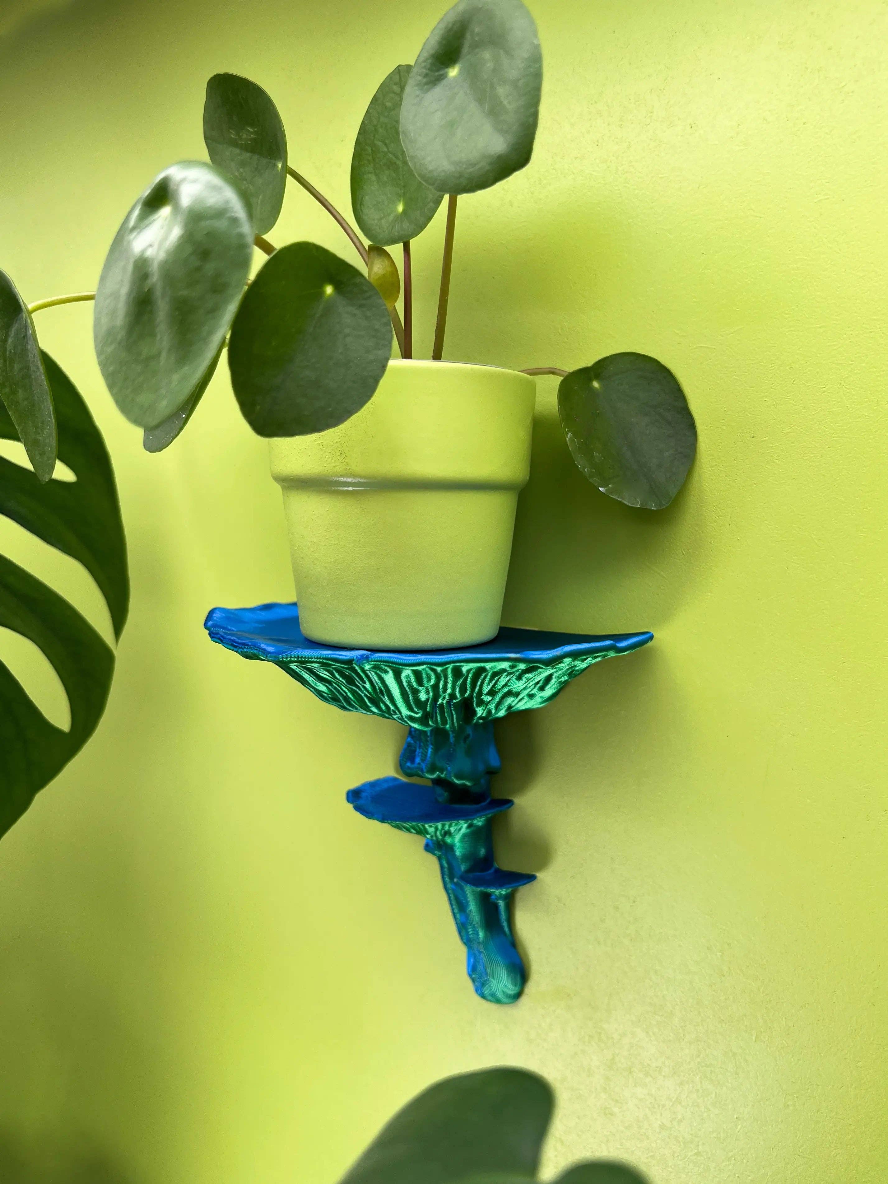 Roomberry - Wholesale Wall Mounted Shelf - Amanita Mushroom Wall Shelf – Floating Shelf for Stylish Decor9