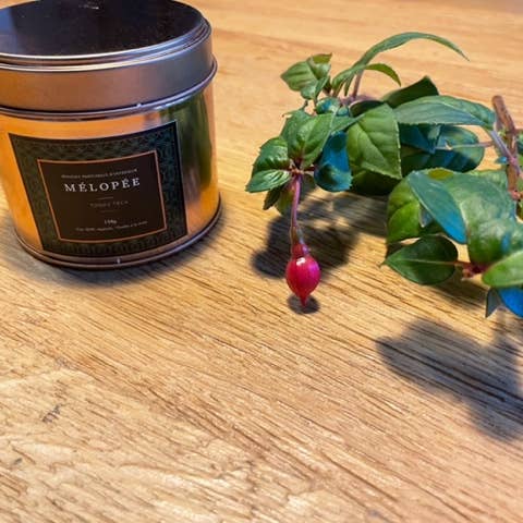 Vela vegana - Tonka Teca por atacado de MÉLOPÉE