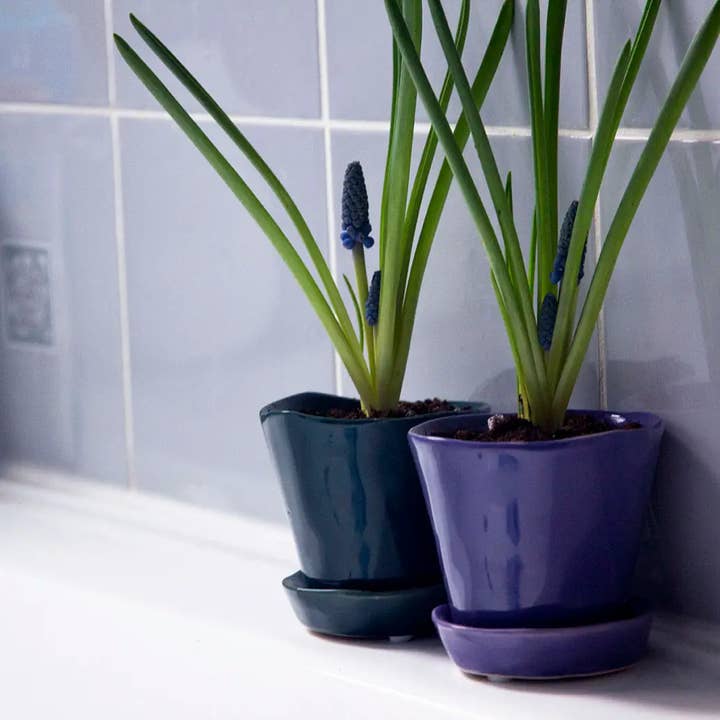 Chive - Wholesale Plant Pot - Tika Ceramic Pots With Saucer And Drainage Hole - 3"34