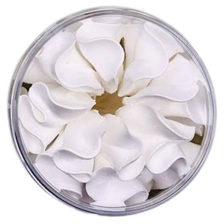 White Whipped Soap Body Wash for wholesale by Alvisse Cosmetics