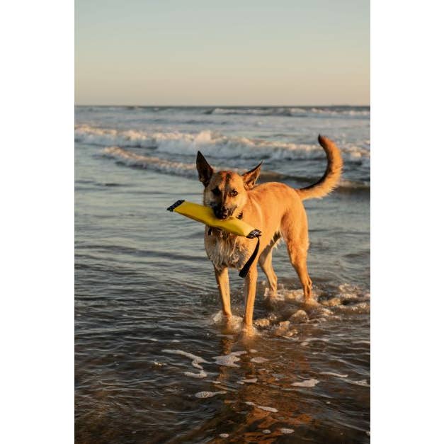 Katie's Bumpers - Wholesale Pet Squeaky Toy - Dog - Best Tug Toy For Dogs KB Super Sqwuggie2