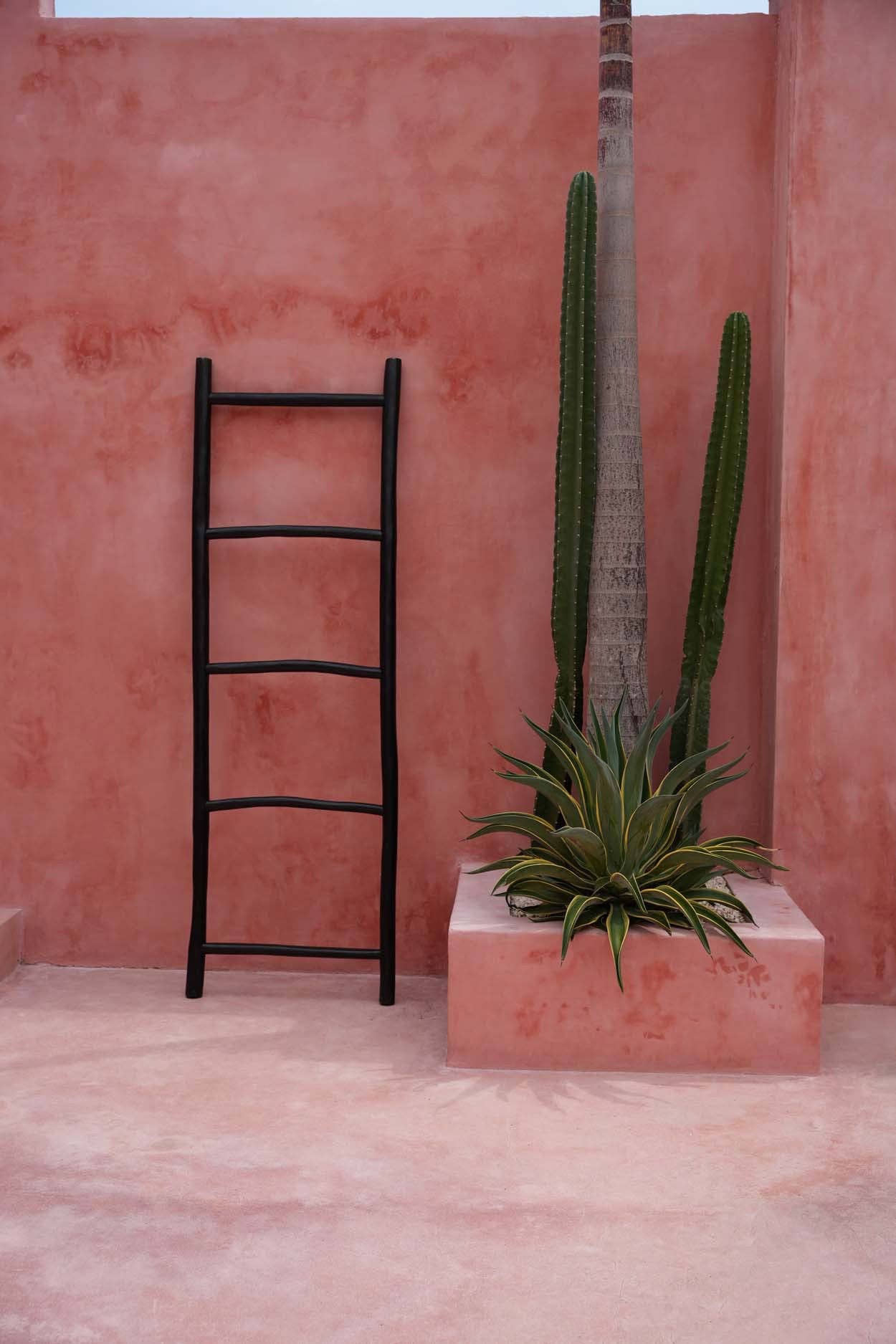 Bazar Bizar Living - Wholesale Vrijstaande plank - De Tulum ladder - Zwart - 165 cm2