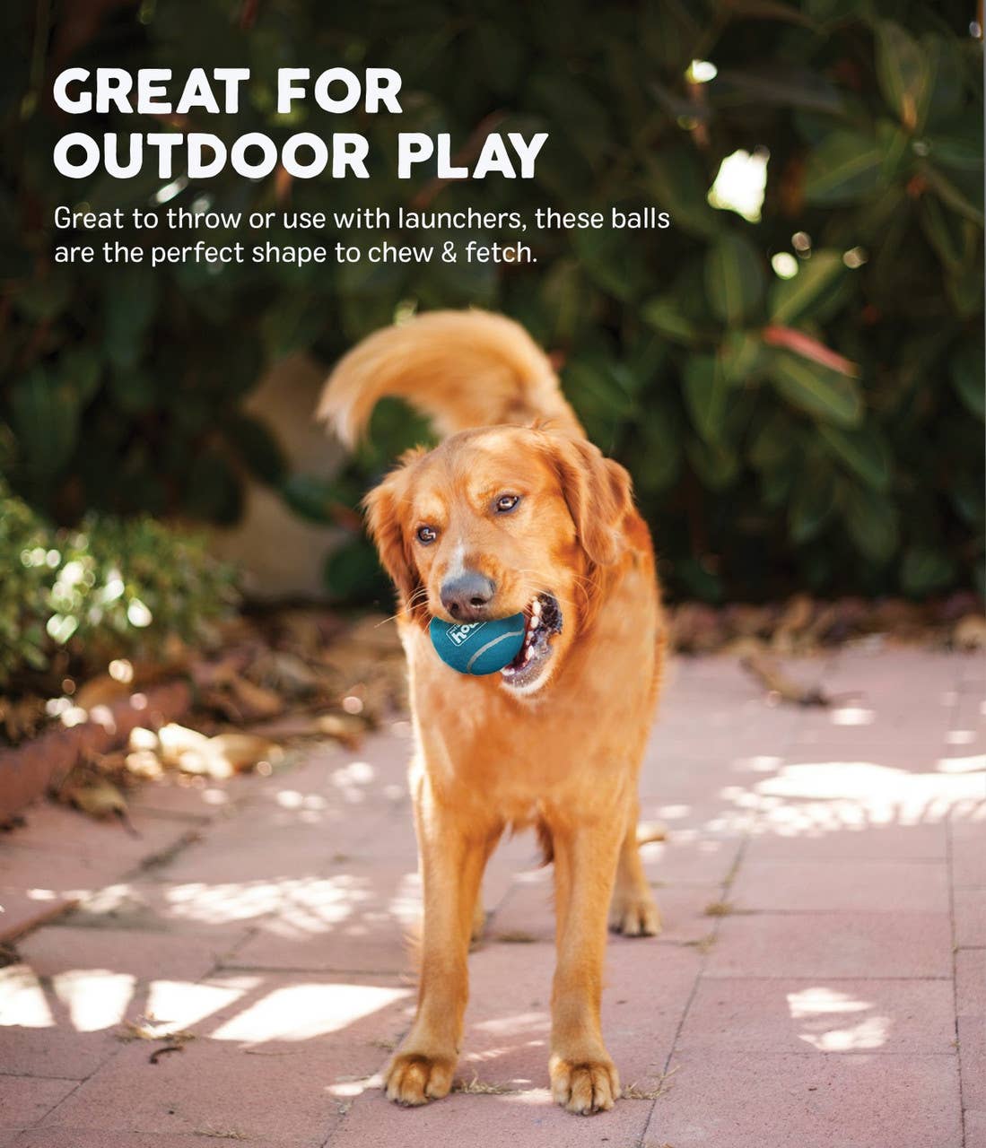 Pet Palette Distribution - Wholesale Pet Squeaky Toy - Dog - Outward Hound Squeaker Ballz Multicolor Small 4pk3