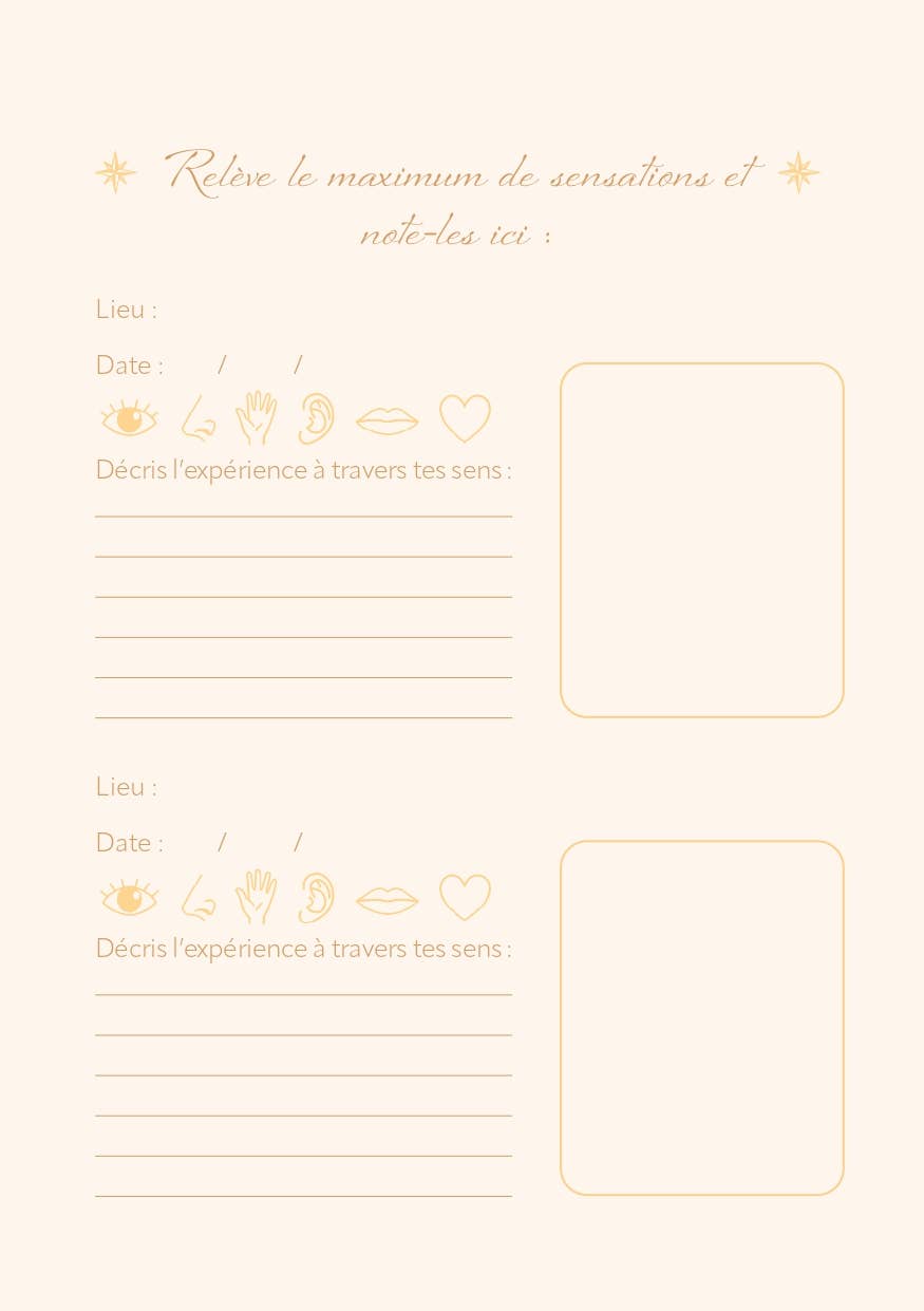 AVENTURA ÉDITIONS - Wholesale Notebook - Wellness Journal12