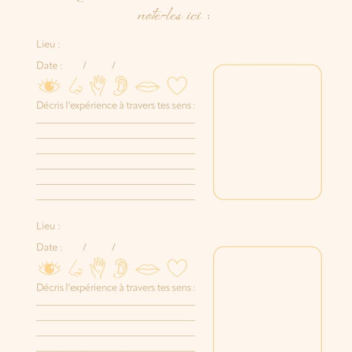 AVENTURA ÉDITIONS - Wholesale Notebook - Wellness Journal12