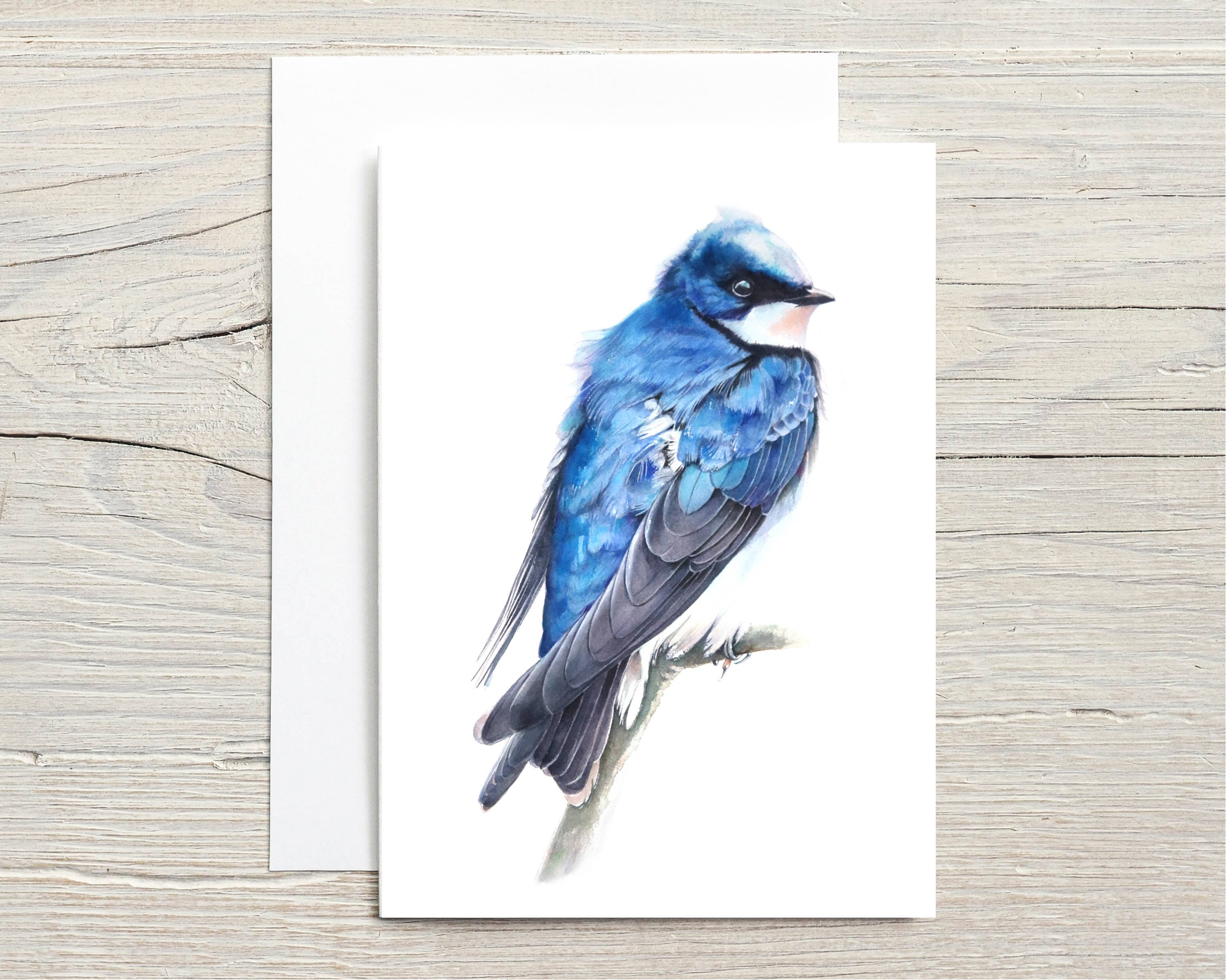 Christy Obalek Illustration – Großhandel Grußkarten für den Alltag – Nordamerikanische Tierwelt: Bäumchenschwalbe0