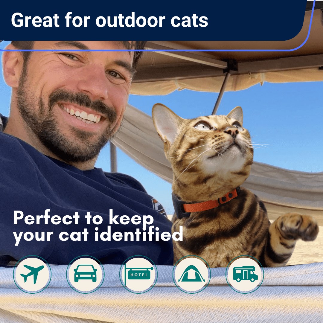 Outdoor Bengal - Wholesale Pet Collar - Cat - Durable Break-Away Cat Collar7