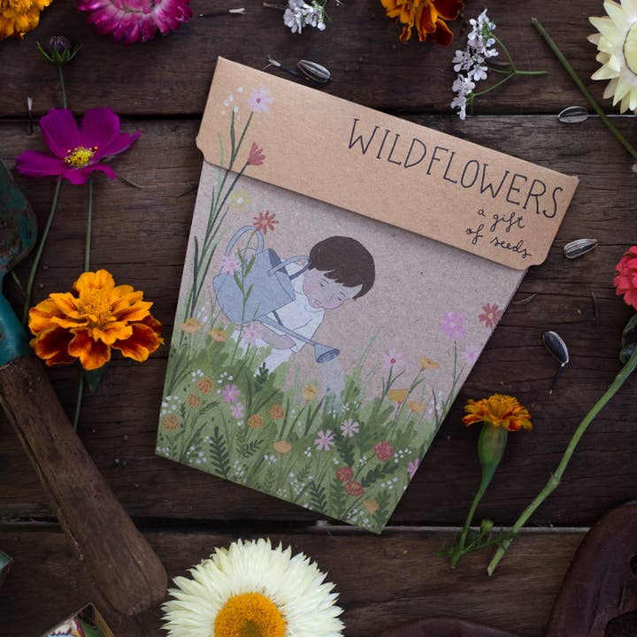 Sow 'n Sow - Wholesale Plant Seeds - Wildflowers Gift of Seeds (Australia Only)