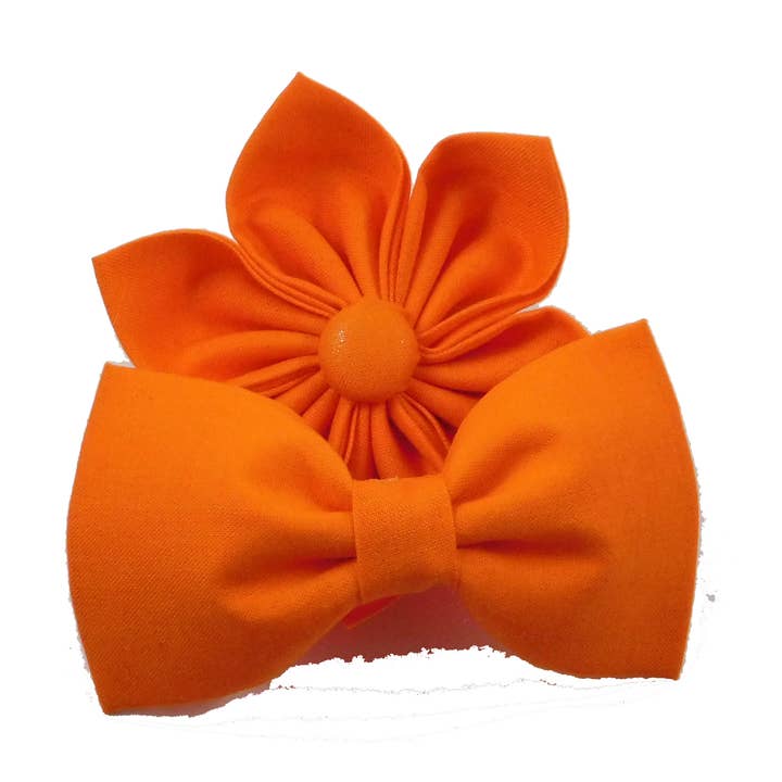 Orange Everyday Dog Bow Tie and Collar Flower for wholesale by Charlotte's Pet