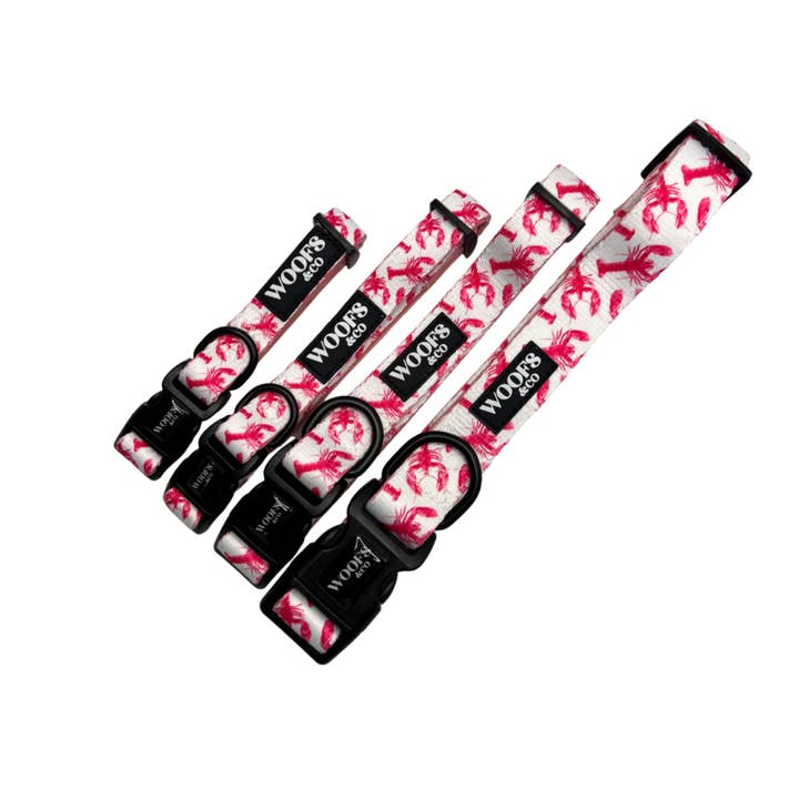 Woofs & Co - Wholesale Pet collar – Dog - Collar - Crazy Lobster Collection