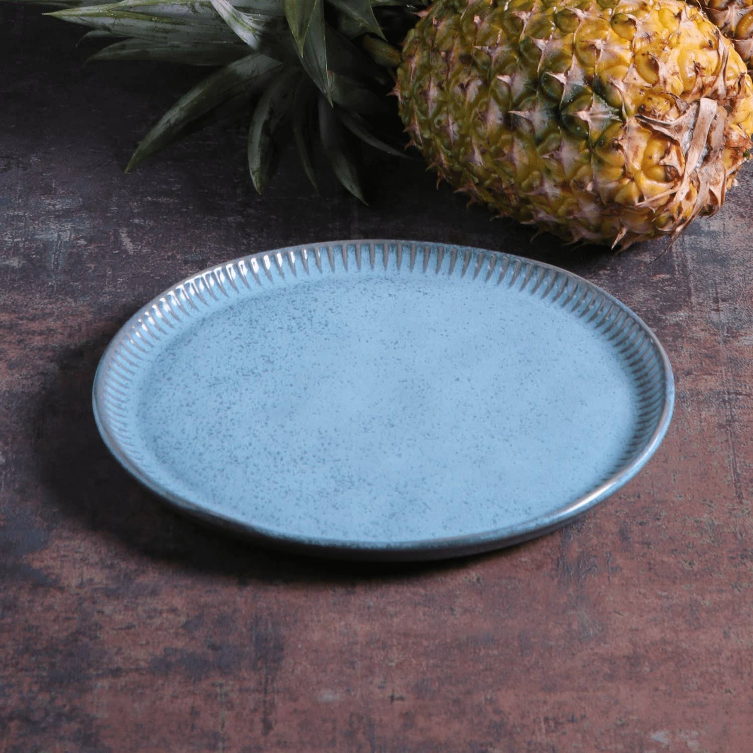 Porto Brasil - Wholesale Dinner Plate - Linhas Bio Stoneware Breeze Dinner Plate, 10.8"2