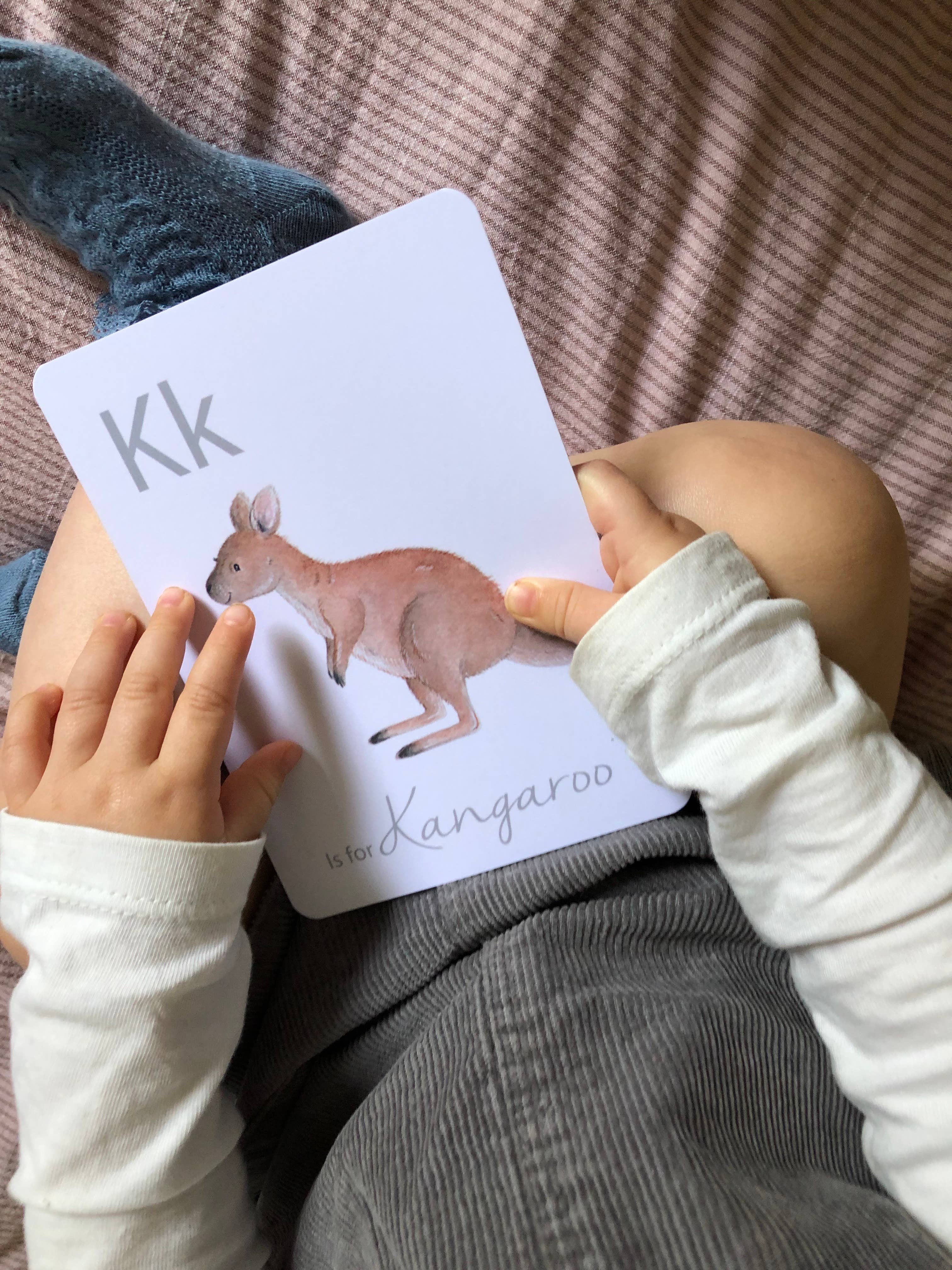 Little Roglets - Wholesale Learning Cards - Kids & Baby - Animal Alphabet Flashcards | Toys and Learning | Kids Toys6