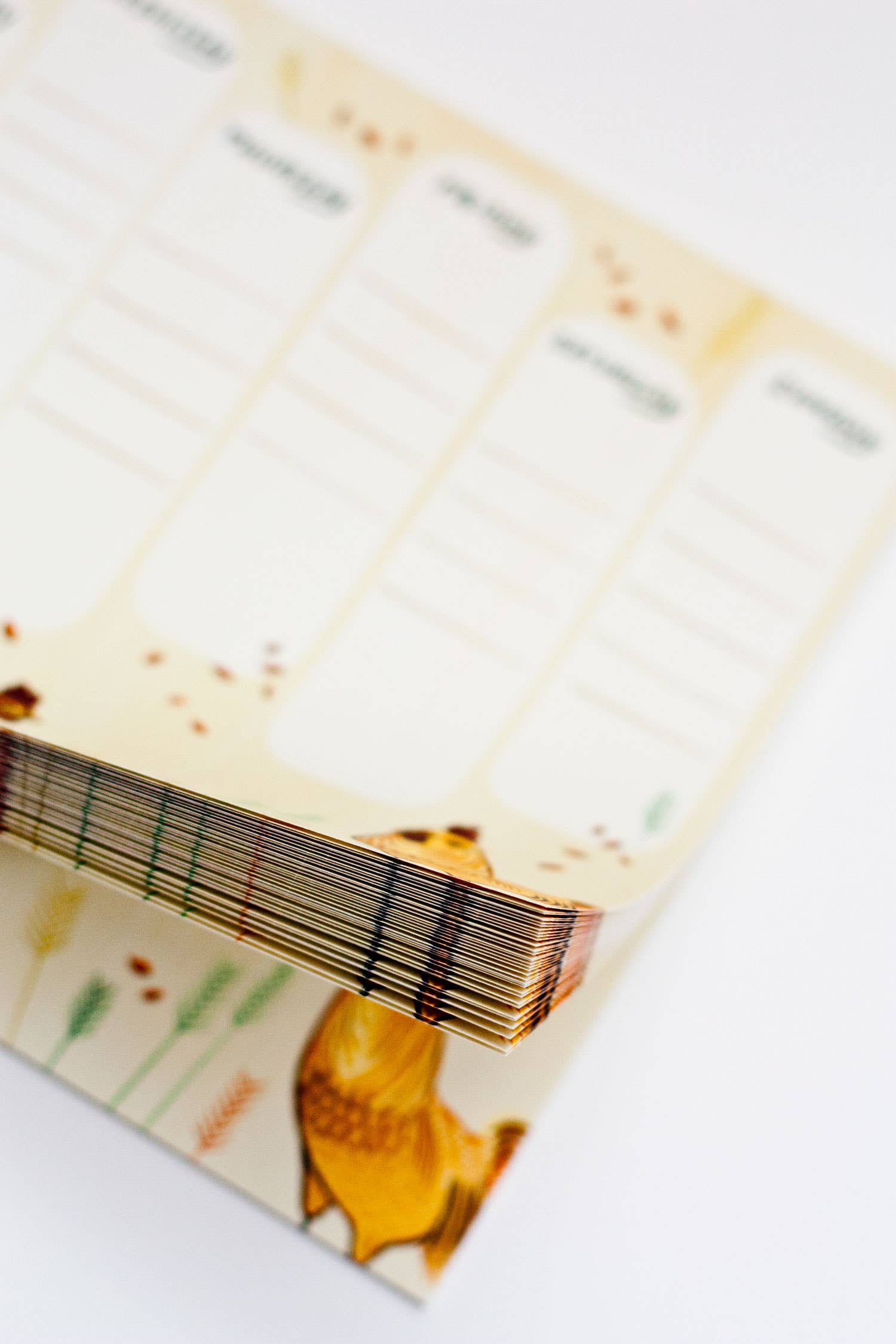 Boygirlparty - Wholesale Planner - Farmhouse Weekly Planner Notepad – Chicken themed Calendar4