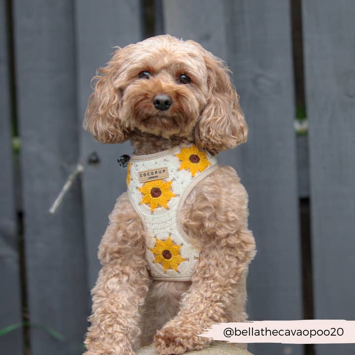 Cocopup London - Wholesale Pet Harness - Dog - Sunflower Patch Adjustable Neck Harness15