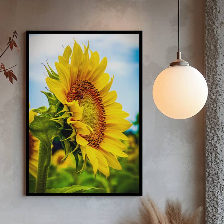 Fri Frakt Färgglad solros sidovy, väggdekor för wholesale av Lisa Herigon Photography