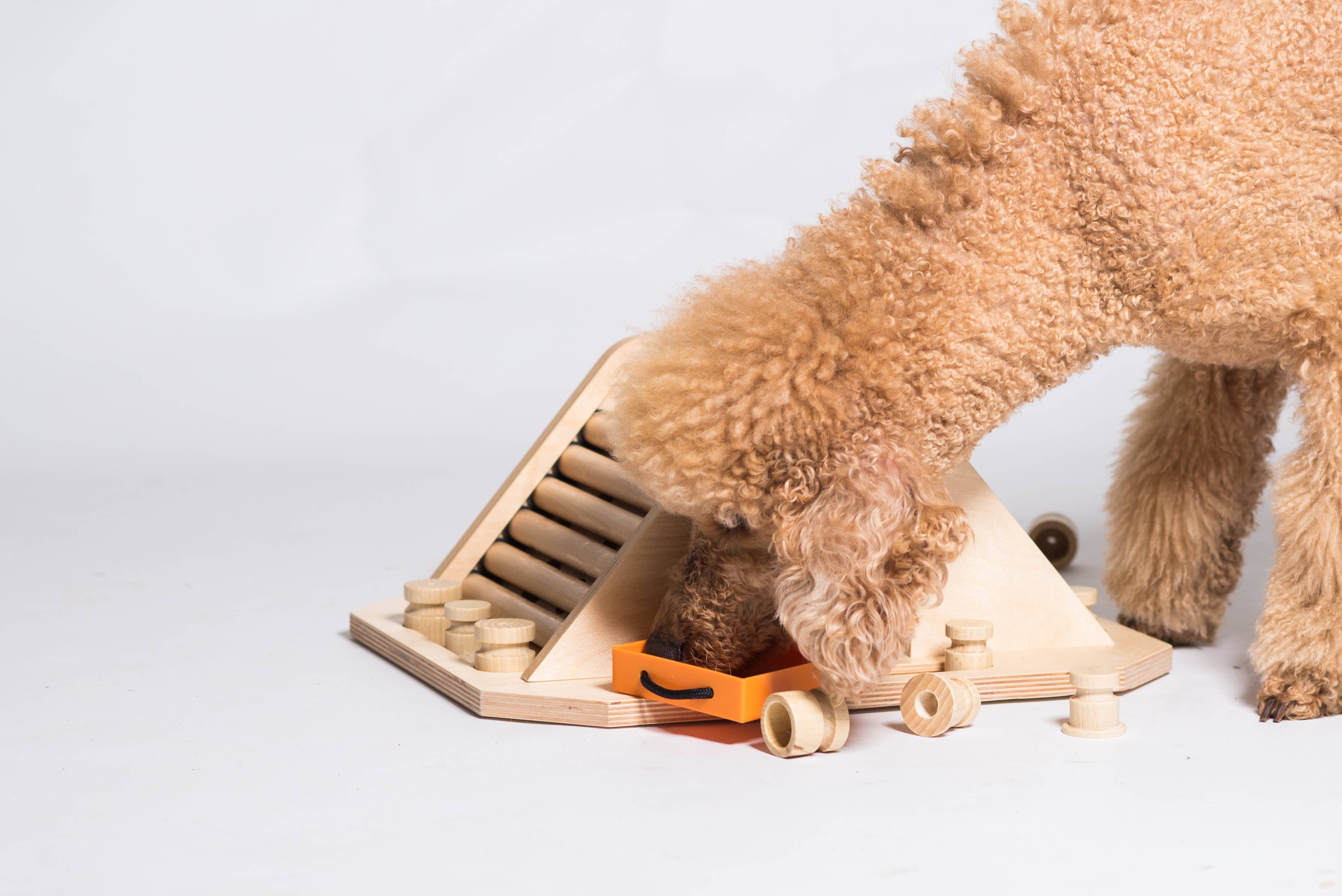 My Intelligent Dogs - Wholesale Pet Toy - Dog - Pyramid - challenging and stimulating dog game3